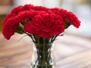 母の日のプレゼントはどう選ぶ？ おすすめを徹底解説！