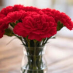 母の日のプレゼントはどう選ぶ？ おすすめを徹底解説！